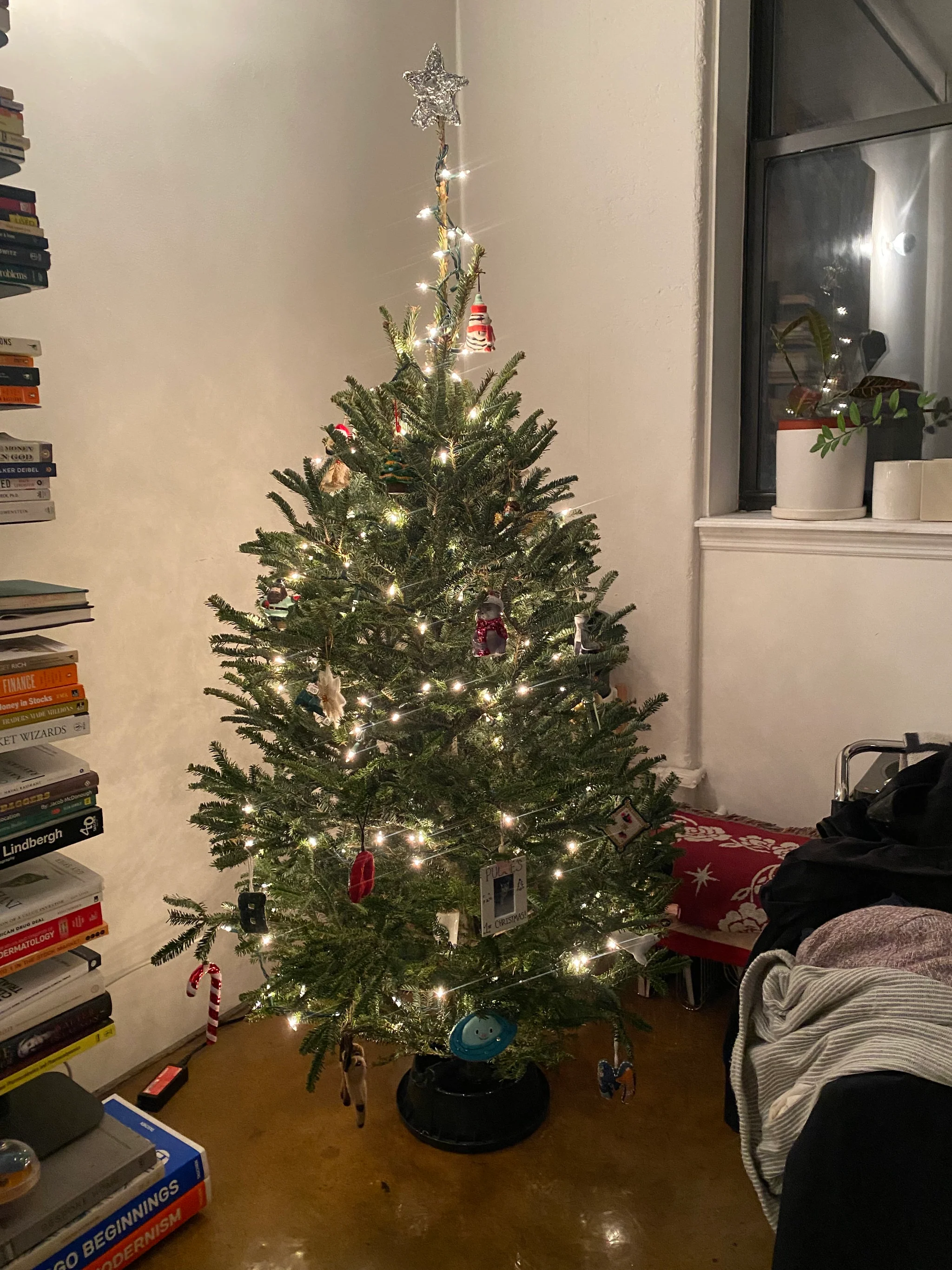 Brooklyn’s Finest Fresh-Cut Christmas Trees